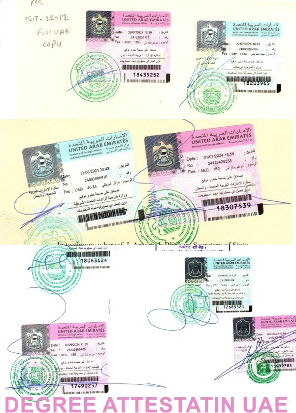 Variety of international degree certificates with official UAE attestation stamps.