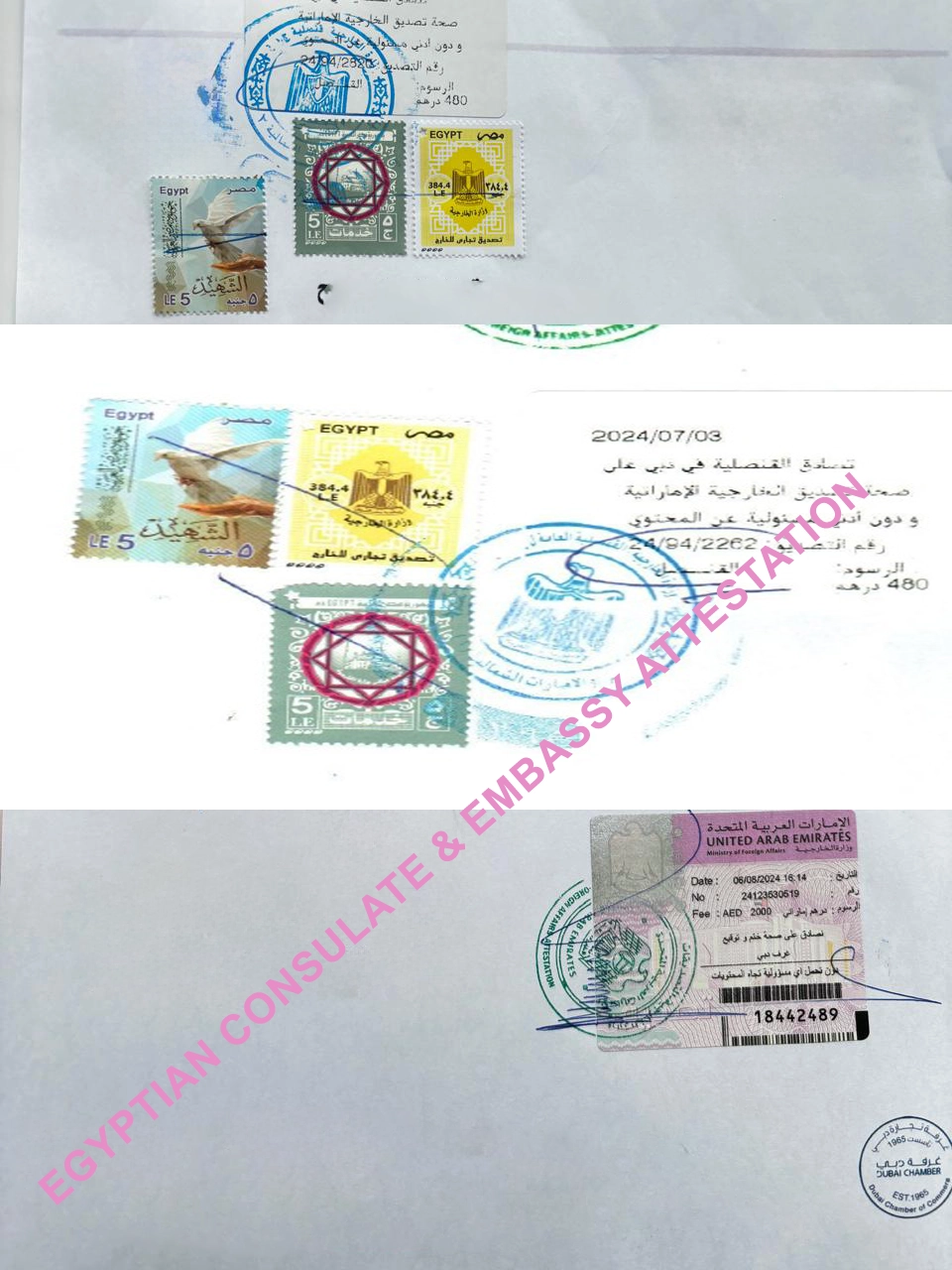 Egypt embassy Abu Dhabi attestation document with Egyptian stamps, consulate seals, and UAE visa, showcasing official consulate attestation process. Certified document with Egyptian Consulate and UAE Embassy attestation stamps for legal use in the UAE