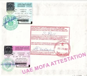 United Arab Emirates Ministry of Foreign Affairs and International Cooperation document with attestation stamps from Canada and UAE.