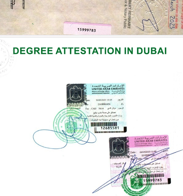 Degree attestation document in Dubai, UAE, with Ministry of Foreign Affairs stamps and UAE authentication seals for legal and employment purposes.