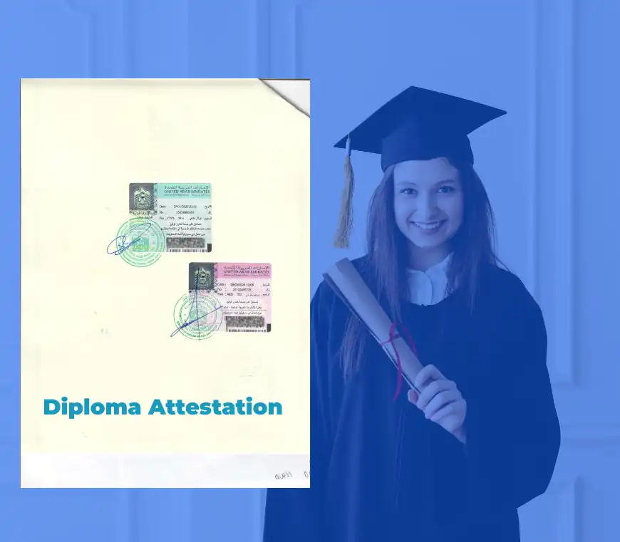 Diploma certificate attestation with UAE MOFA stamps shown beside a graduate – Apostille, embassy, and educational certificate legalization services for UAE.